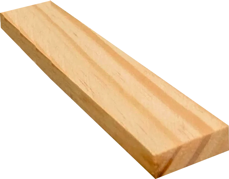 Ripa